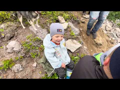 Видео: Водопад Медвежий, путь сквозь туман.