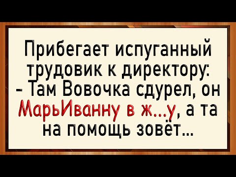 Видео: Как Вовочка двойку исправлял! Сборник свежих анекдотов! Юмор!