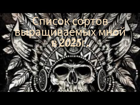 Видео: Сорта табака в 2025г.что выращиваю.