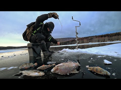 Видео: БЕЗМОТЫЛКА ЧЁРТИК, ИГРАЙ СИЛЬНО!