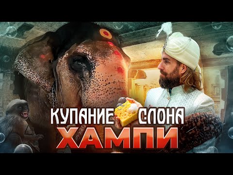 Видео: Индия, Хампи. Вирупакша темпл и слон Лакшми