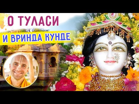 Видео: 🎈 О ТУЛАСИ И ВРИНДА КУНДЕ. Картика 2022