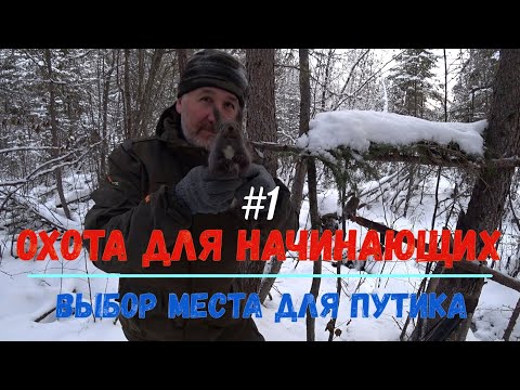 Видео: Промысловая охота для начинающих.Как выбирать места для путиков.