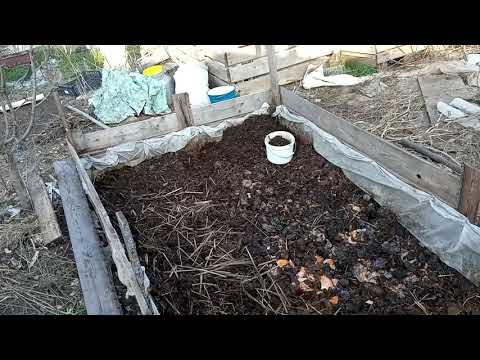 Видео: Расселяемся по весне. Минивермиферма.