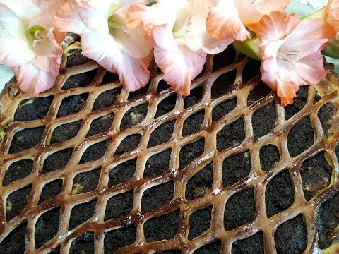 Видео: СДОБНЫЕ  ПИРОГИ  С МАКОМ!