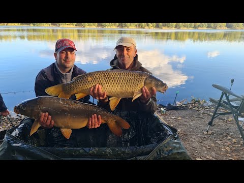 Видео: Коропова рибалка. Озеро BOUNTY