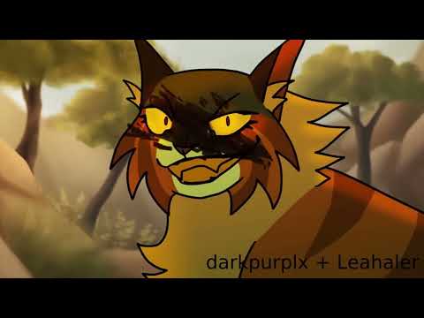 Видео: Листопад🍂 