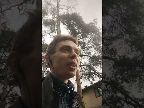 Видео: О проблеме зумеров-стариков и перевернутой модели конфликта отцов и детей: ошибки мышления