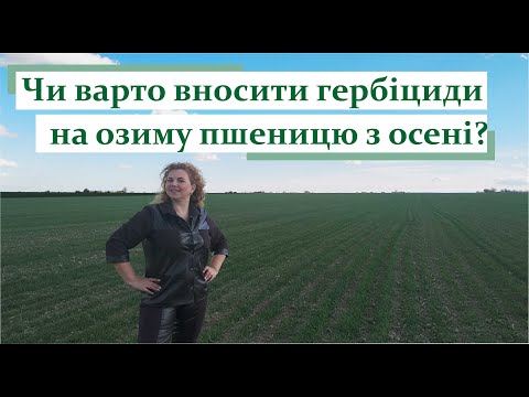 Видео: Чи варто вносити гербіциди на озиму пшеницю з осені? #ГалинаДзябяк