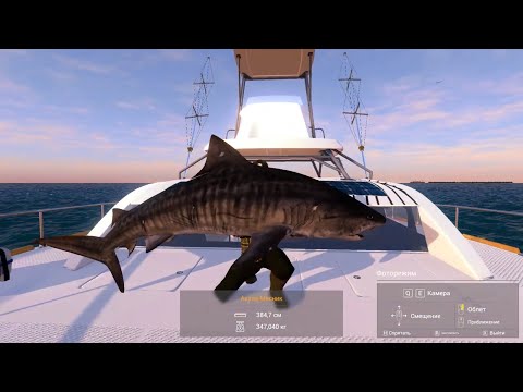 Видео: Fishing Planet. Мальдивы. Зубастое Испытание. Акула Мясник. (Прохождение миссий)