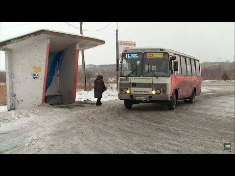 Видео: Проблемы автобусного маршрута № 17 в Бийске ("Будни", 16.02.22г., Бийское телевидение)