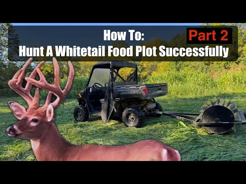 Видео: Как успешно охотиться на кормовой участок белохвостого оленя (часть 2)