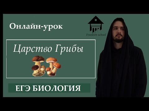 Видео: Царство ГРИБЫ для ЕГЭ |ЕГЭ Биология| Freedom bio