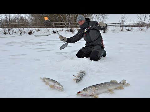 Видео: ЛЕСКА ТРЕЩИТ В ПАЛЬЦАХ! ЗАБРАЛСЯ ТУДА, ГДЕ НЕТ ЛЮДЕЙ! Зимняя рыбалка.
