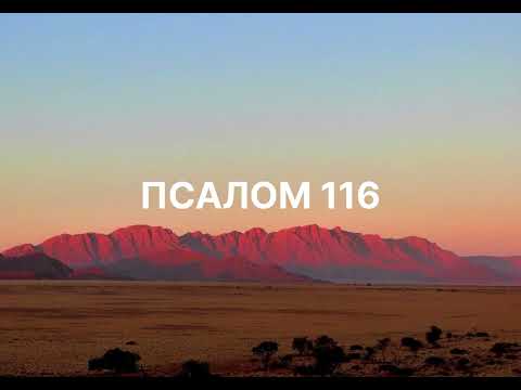 Видео: Псалом 116 | (Official Music Video) | Давид син Єсея