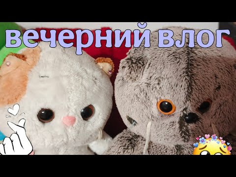 Видео: Вечерний влог с Басиком и Лилишками🍪уборка🍪актив пропал