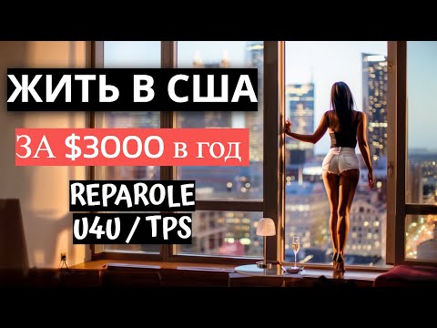 Видео: США или ЕС? Реальные Зарплаты, Статусы и Шансы для Иммигрантов