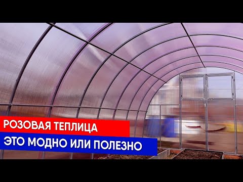 Видео: Розовая теплица - это модно или полезно?