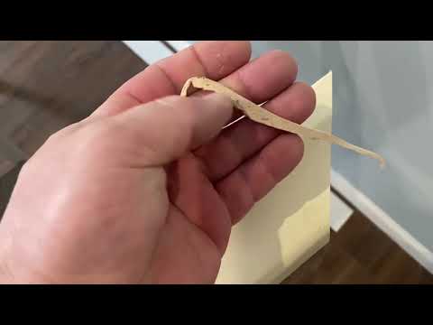 Видео: Пригласили мастера с авито и офигели от результата!