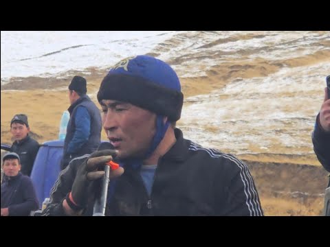 Видео: Жалал-Абад  Бүгүнкү  Улак ноября 2025 г.