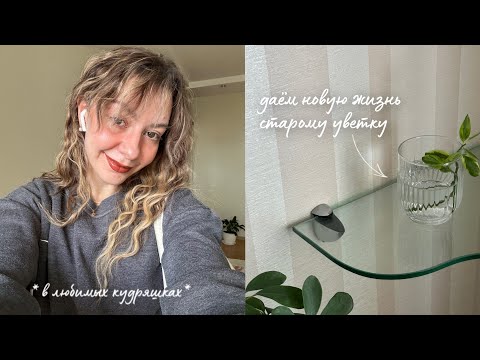 Видео: Vlog: забытые проблемы вернулись🫣