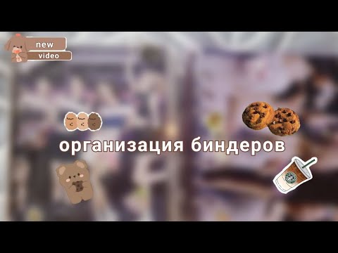 Видео: ОРГАНИЗАЦИЯ БИНДЕРОВ|ROCKIX