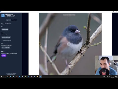 Видео: Хороша ли программа для АПСКЕИЛА изображений с помощью ИИ?