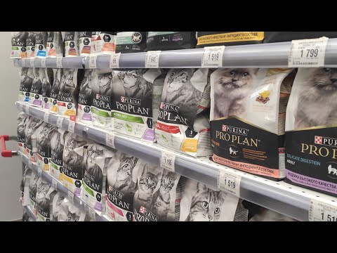 Видео: Ветеринары!! Что вы творите? Поговорим о МКБ кошки