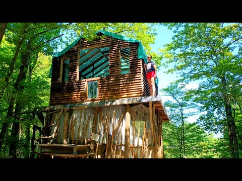 Видео: СТРОЮ УДИВИТЕЛЬНЫЙ ДОМИК В ЛЕСУ НА БЕРЕГУ У ОЗЕРА #бушкрафт#bushcraft#лесноймуравей