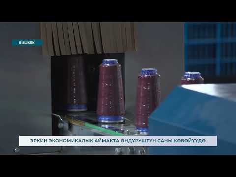 Видео: ЭРКИН ЭКОНОМИКАЛЫК АЙМАКТА ӨНДҮРҮШТҮН САНЫ КӨБӨЙҮҮДӨ