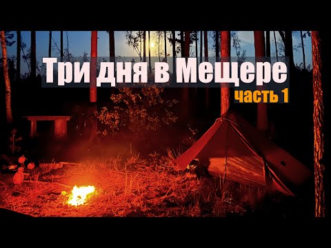 Видео: Мещера по треку Тур Юнайт на велосипеде | Сосна Исполин | Озеро Комгарь
