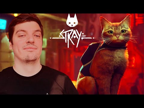 Видео: Гитман играет в Stray