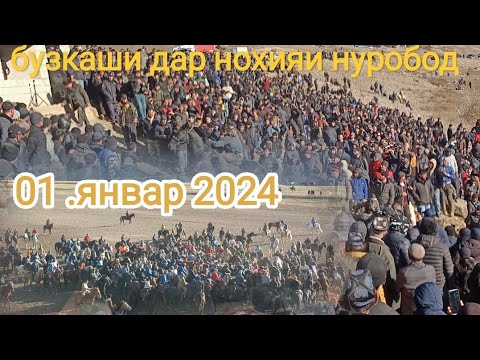 Видео: БУЗКАШАК ДА НОХИЯИ НУРОБОД 01.01.2024 одина човандоз