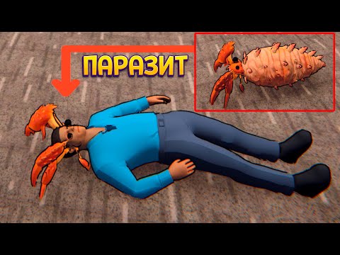 Видео: ЖИЗНЬ ПАРАЗИТА ( Headlice )