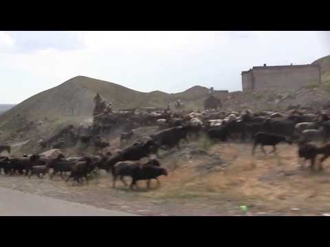 Видео: КЫРГЫЗСТАН 2017 -  ТЕГЕНЕ