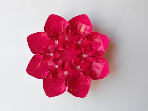 Видео: Цветок 18 (Алексей Жигулёв), Flower 18