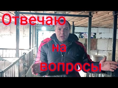 Видео: Отвечаем на вопросы по новому сараю! Во сколько же сарай нам обошелся!