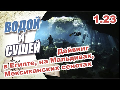 Видео: Дайвинг в Египте, на Мальдивах, в Мексиканских сенотах.