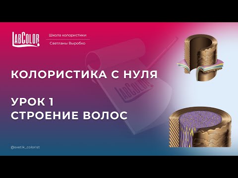 Видео: Строение волоса. Колористика с нуля. Урок 1