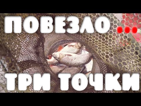 Видео: Повезло. Три места лова, и все удачно. Рыбалка в Эстонии на реке Казари