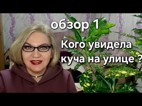 Видео: Кого увидела куча на улице❓️