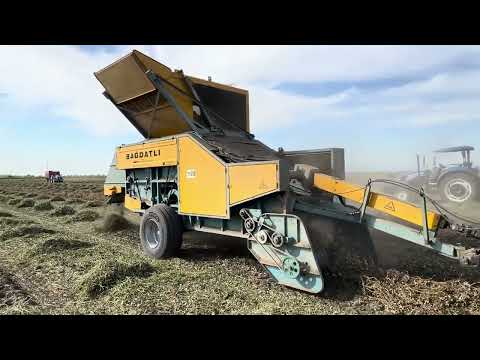 Видео: Прицепной комбайн для сбора арахиса BAGDATLI +79383462368 - FJB GROUP LLC