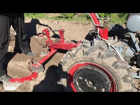 Видео: Как посадить картофель мотоблоком МоторСич под окучники(ушастые). Час садзіць бульбу.