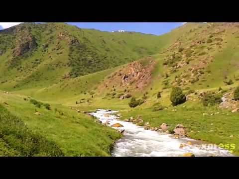 Видео: Природа Казахстана. Жамбылская область. Мерке. 8(707)827-0539