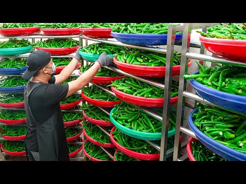 Видео: Обработка очищенного перца чили, блюда меню Омакасе - тайваньская еда