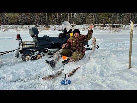 Видео: ВЕСЕННЯЯ РЫБАЛКА НА ЖЕРЛИЦЫ. ЕСТЬ ПОКЛЁВКИ.