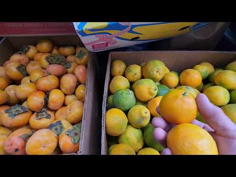 Видео: золатая осень красота . делаем протеиновые лепешки