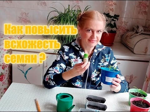 Видео: Как повысить всхожесть семян