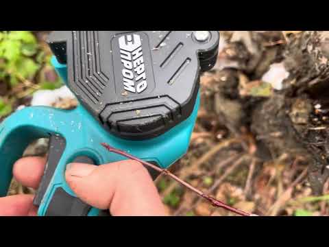 Видео: Сами себе лесорубы