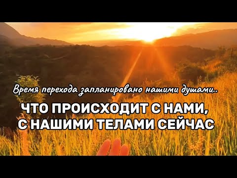 Видео: Продолжаем углубляться во все происходящее с нами сейчас.